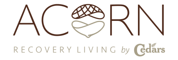Acorn Recovery Living Recovery & Counselling project, hand-built by Elliot Digital